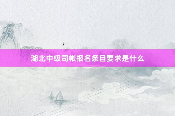 湖北中级司帐报名条目要求是什么