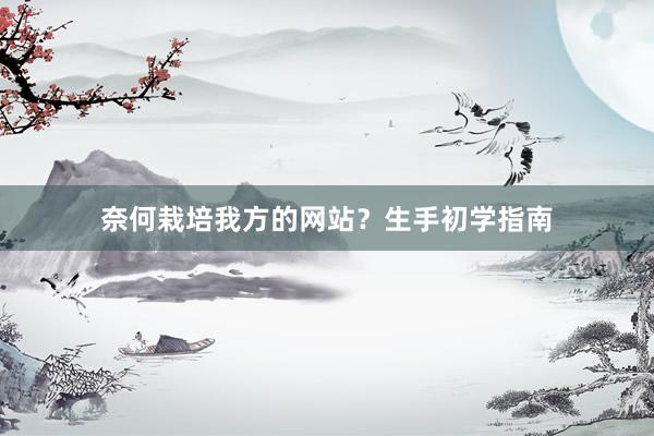 奈何栽培我方的网站？生手初学指南