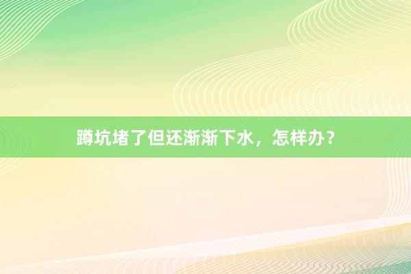 蹲坑堵了但还渐渐下水，怎样办？
