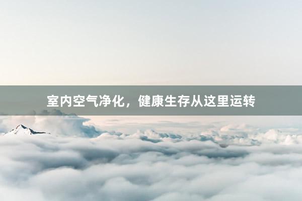 室内空气净化，健康生存从这里运转