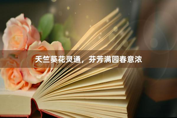 天竺葵花灵通，芬芳满园春意浓